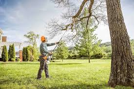 Lawn Irrigation Installation and Maintenance in El Cajon, CA